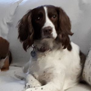 Meet your Posher, Leta marion ann